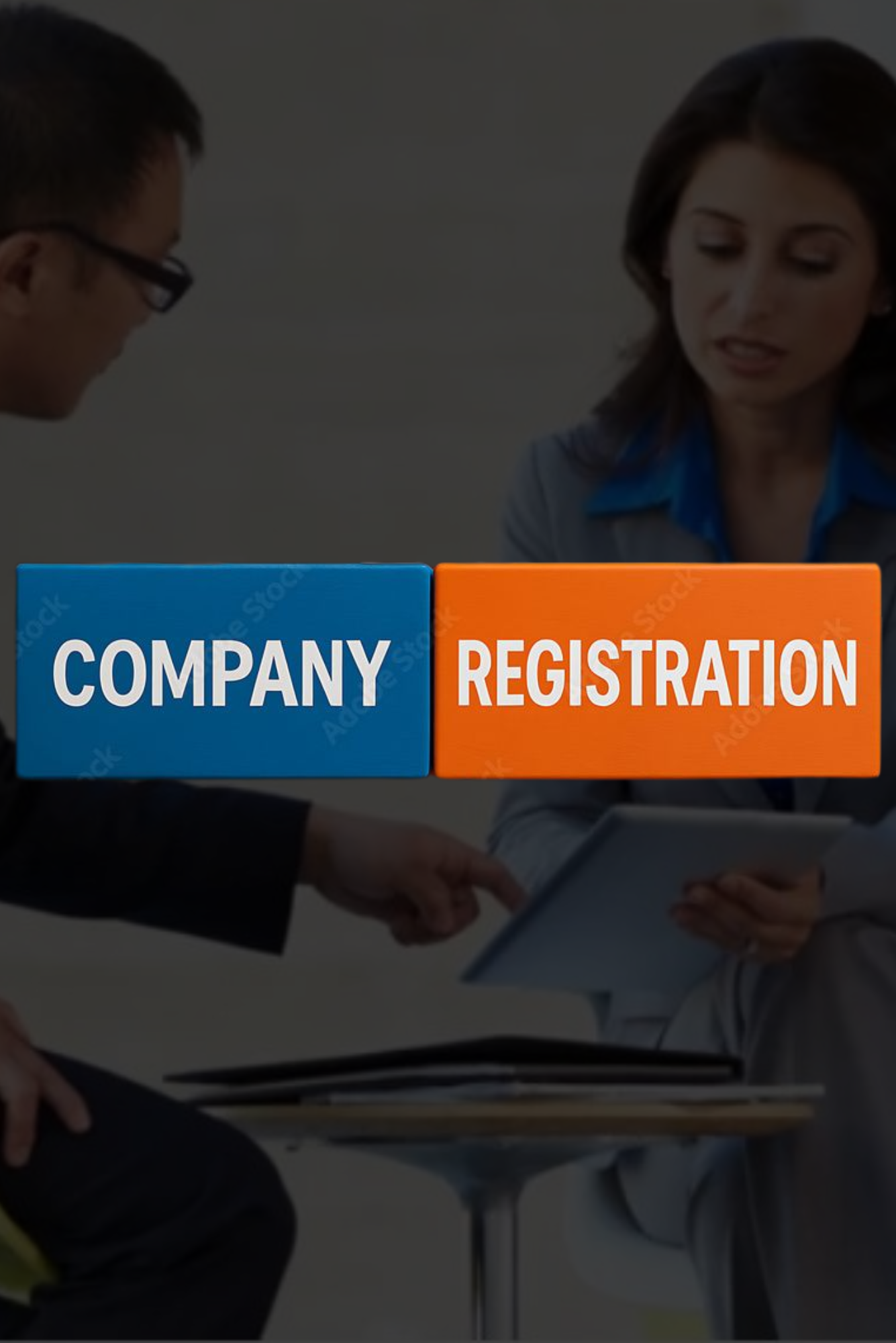 RS- Company register